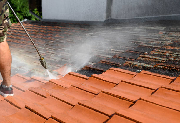 Best Pressure Washing Near Me  in Wildwood, MO